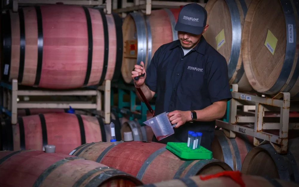 Cellar foreman Rodrigo of Sugarloaf Wine Co. thiefing wine into beaker