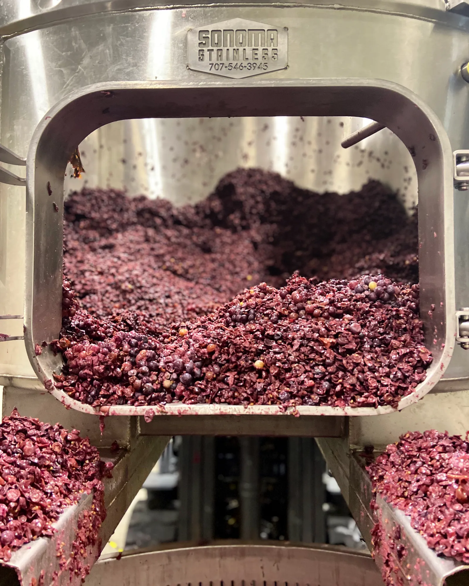 Red wine grape skins after fermentation and pressing for wine production at Sugarloaf Wine Co.