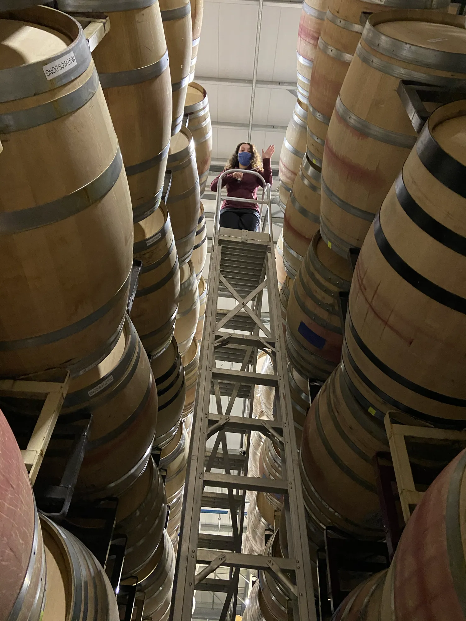 Woman on top of tall ladder at Sugarloaf Wine Co., wine barrel storage and wine production