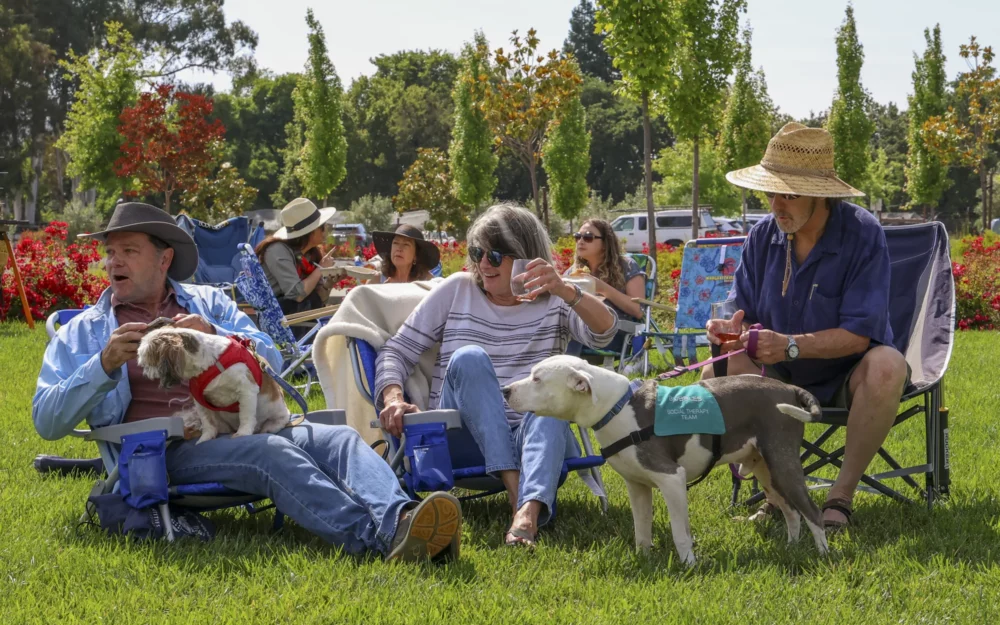 Guests sitting on Winery lawns with dogs drinking wine at Sugarloaf Wine Co, outdoor event venue, winery event calendar, Santa Rosa, CA