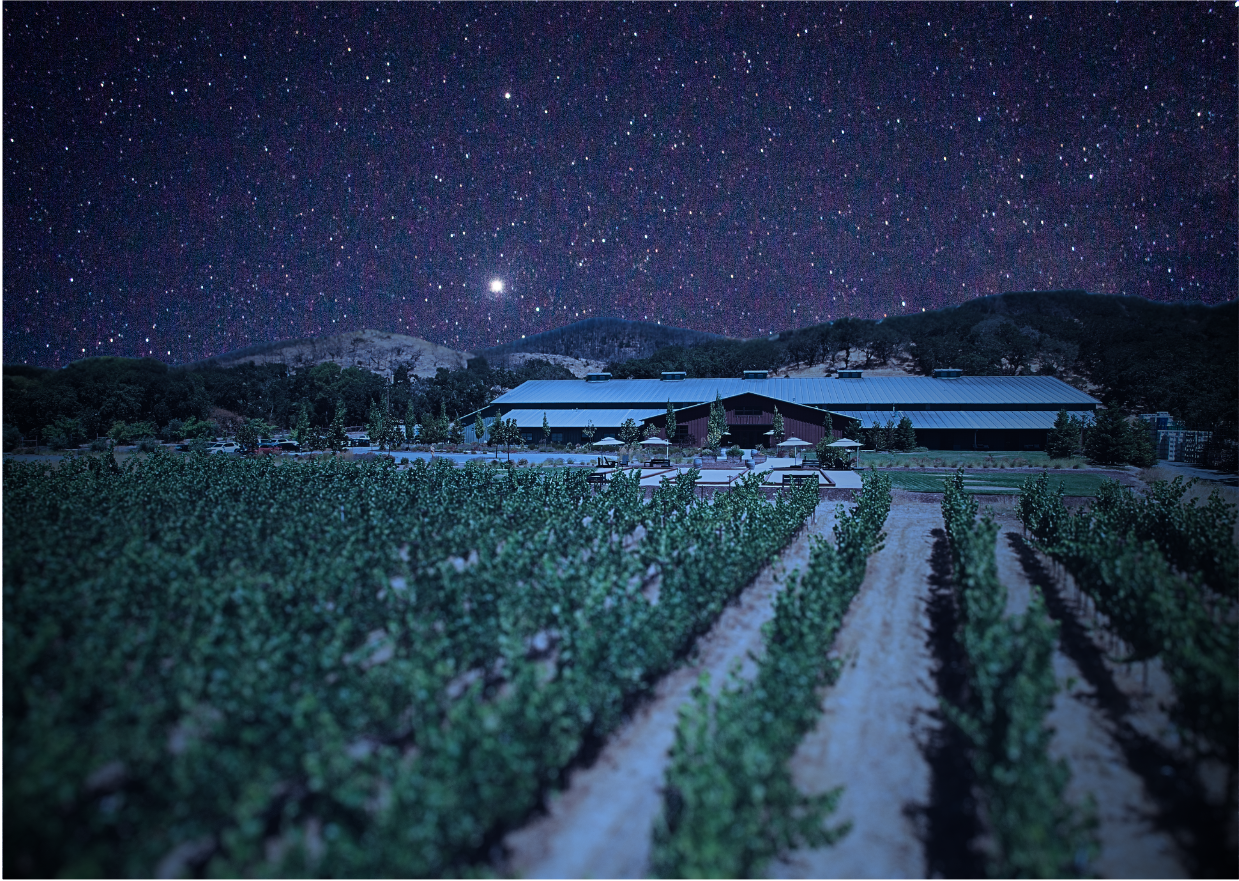 Exterior of Sugarloaf winery from the vineyard at night